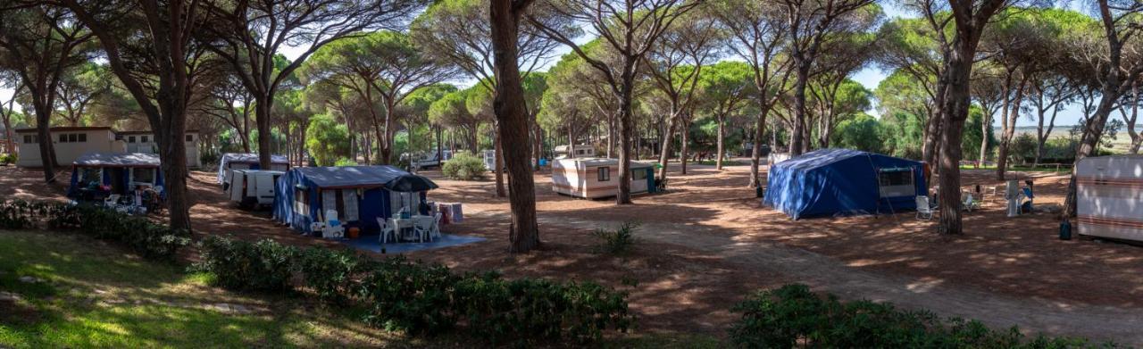 Camping Village S'Ena Arrubia Arborea Zewnętrze zdjęcie