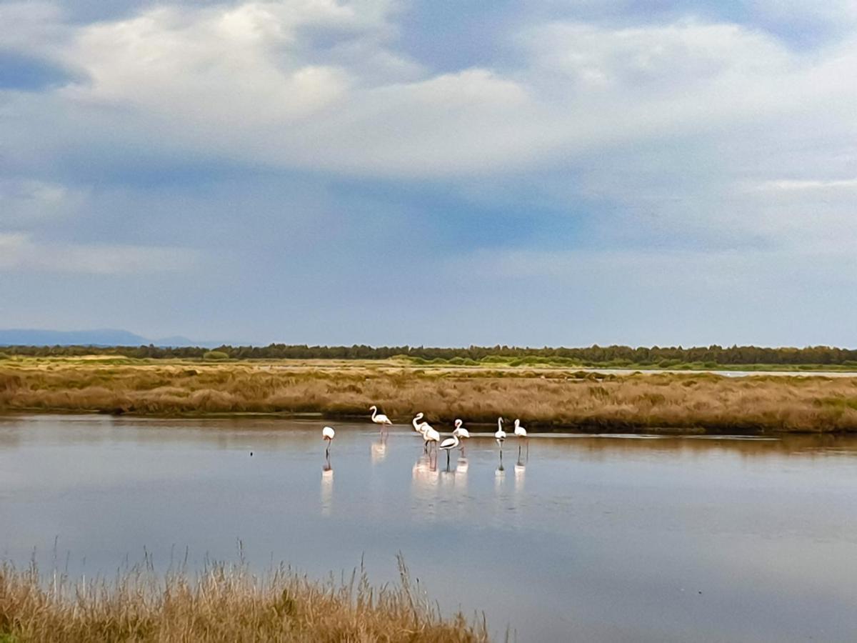 Camping Village S'Ena Arrubia Arborea Zewnętrze zdjęcie