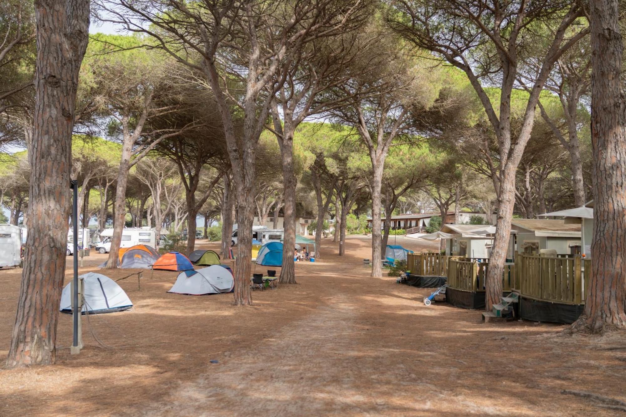 Camping Village S'Ena Arrubia Arborea Zewnętrze zdjęcie